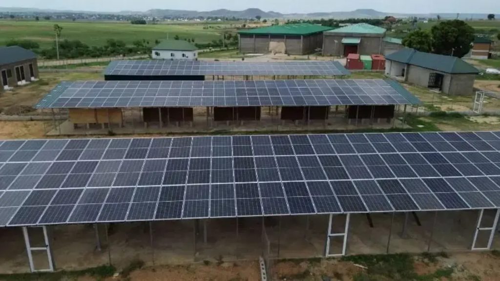 Fazenda na Nigéria troca consumo de 3.800 litros de diesel por mês por energia solar com baterias fornecidas por empresa brasileira