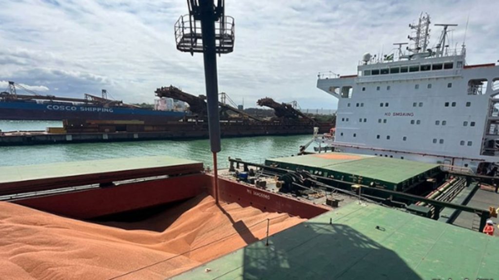 VLI inicia transporte ferroviário de sorgo, já movimenta mais de 250 mil toneladas para a China e prevê superar 800 mil toneladas exportadas até o fim de 2026