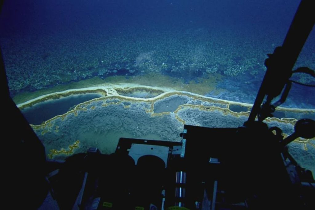Cientistas descobrem lagos e rios dentro do próprio oceano, com margens e até pequenas ondas no fundo do mar
