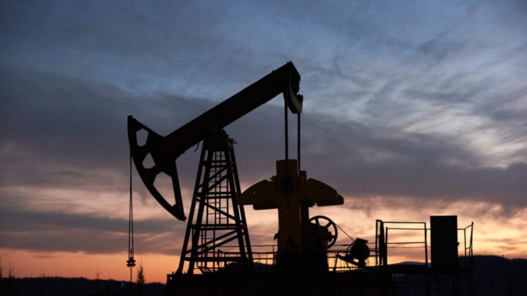 Petroleira compra dois blocos por R$ 77 mil cada em Roraima, prepara sísmica 3D na Bacia do Tacutu e admite buscar petróleo na Guiana se a exploração brasileira der resultado
