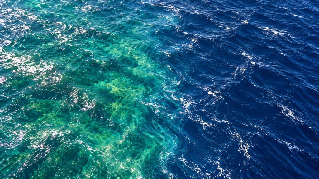 El Niño de 2026 eleva o nível do Pacífico em até 40 cm, aquece águas em 4,4 °C acima do normal e já muda a cor do oceano ao reduzir o fitoplâncton El Niño de 2026 eleva o nível do Pacífico em até 40 cm, aquece águas em 4,4 °C acima do normal e já muda a cor do oceano ao reduzir o fitoplâncton