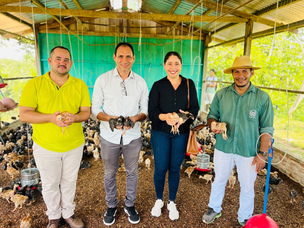 PREFEITO VALDELIO FURTADO FORTALECE A AGRICULTURA FAMILIAR COM ENTREGA DE 6 MIL AVES EM MARECHAL THAUMATURGO