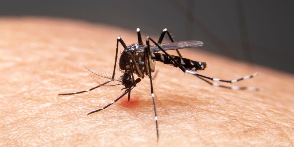 Mudanças climáticas já causam aumento de doenças infecciosas no país Mudanças climáticas já causam aumento de doenças infecciosas no país