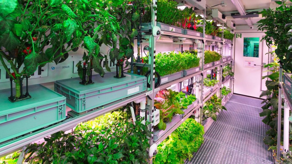 Antes de plantar na Lua, NASA e parceiros vão preparar um laboratório agrícola na Terra Antes de plantar na Lua, NASA e parceiros vão preparar um laboratório agrícola na Terra