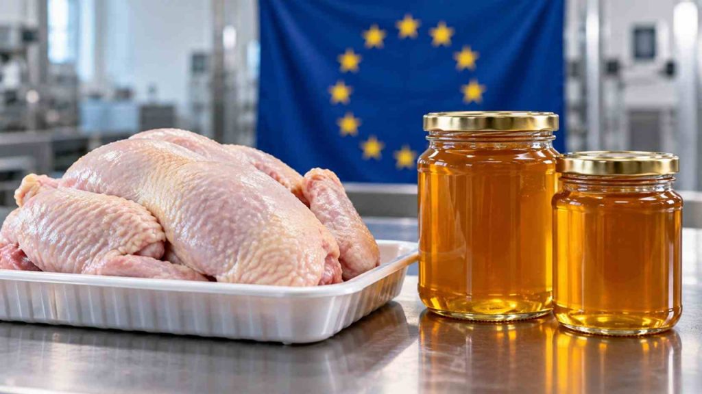 Frango e mel brasileiros aguardam decisão da União Europeia para retomada das exportações