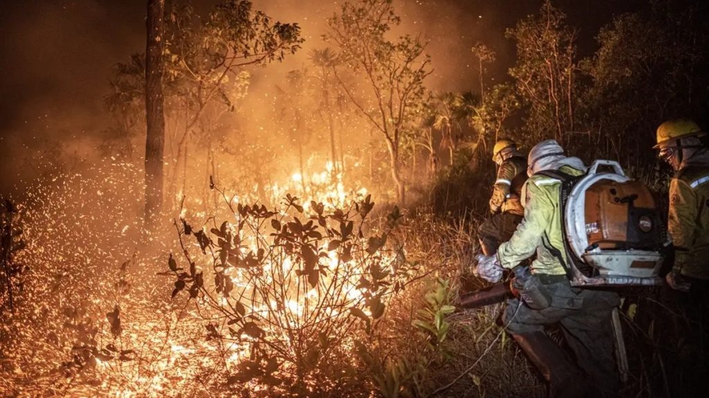 7.815 focos de incêndio atingem o Amazonas em 2026, número dobra ante o ano passado e fumaça expõe pressão sobre território e atividades rurais