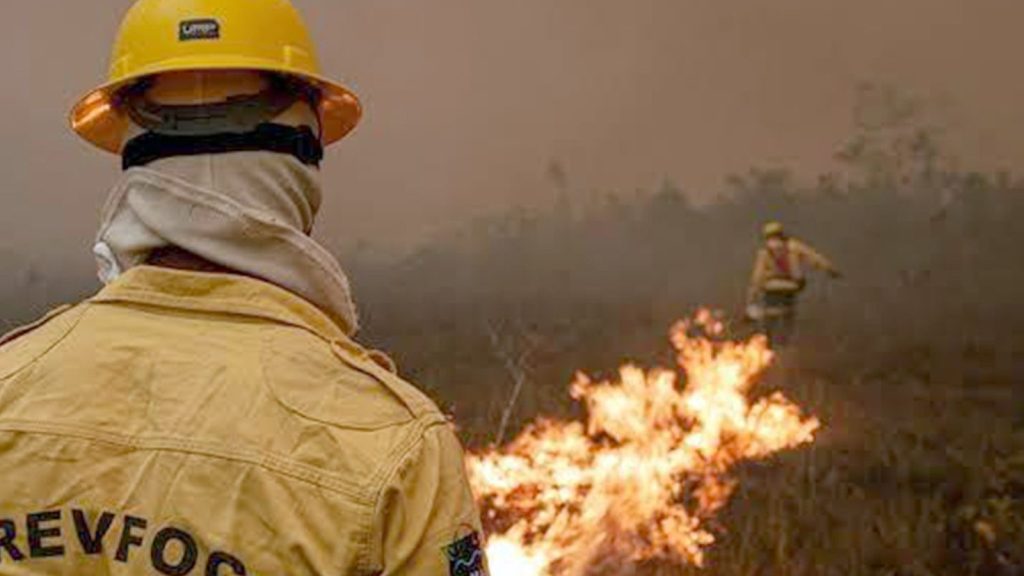 Amazônia, chamada de pulmão do mundo, soltou 1,17 bilhão de toneladas de CO2 a mais do que absorveu por ano entre 2010 e 2024, e o vilão é o fogo