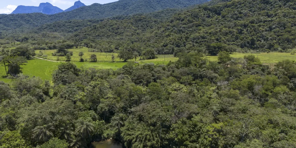Brasil diminui em 43% área de vegetação nativa fragmentada