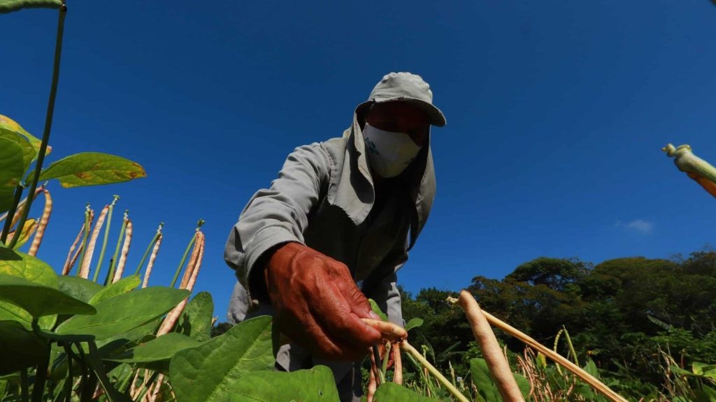 Trabalhadores que suaram sem pausa térmica em fábricas e lavouras até dezembro de 2019 podem ver travadas as ações de horas extras: a CNI pediu ao STF que suspenda todos os processos ligados ao Tema 161 do TST