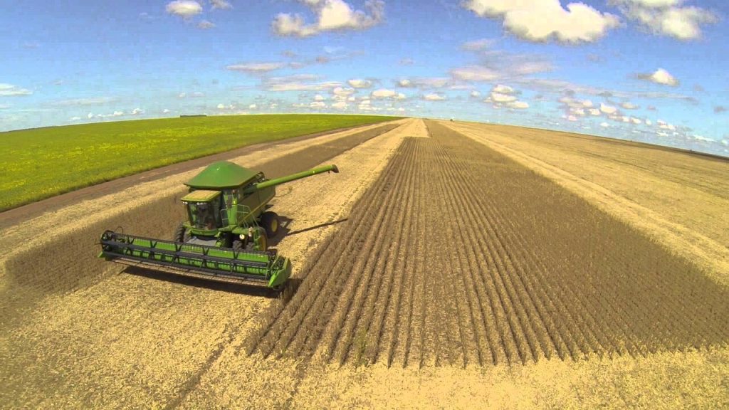 Sicoob prepara R$ 70 bilhões em crédito rural para a safra 2026/27 e prevê mais recursos para pequenos e médios produtores, mas a maior fatia do dinheiro terá um destino que chama atenção