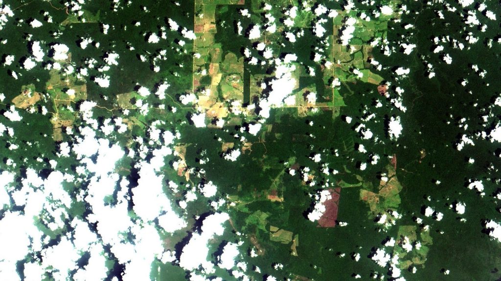 Brasil tem o menor desmatamento em unidades federais da Amazônia desde 2008: 111 km² em 2026, área de 15 mil campos de futebol e 17% a menos que em 2025