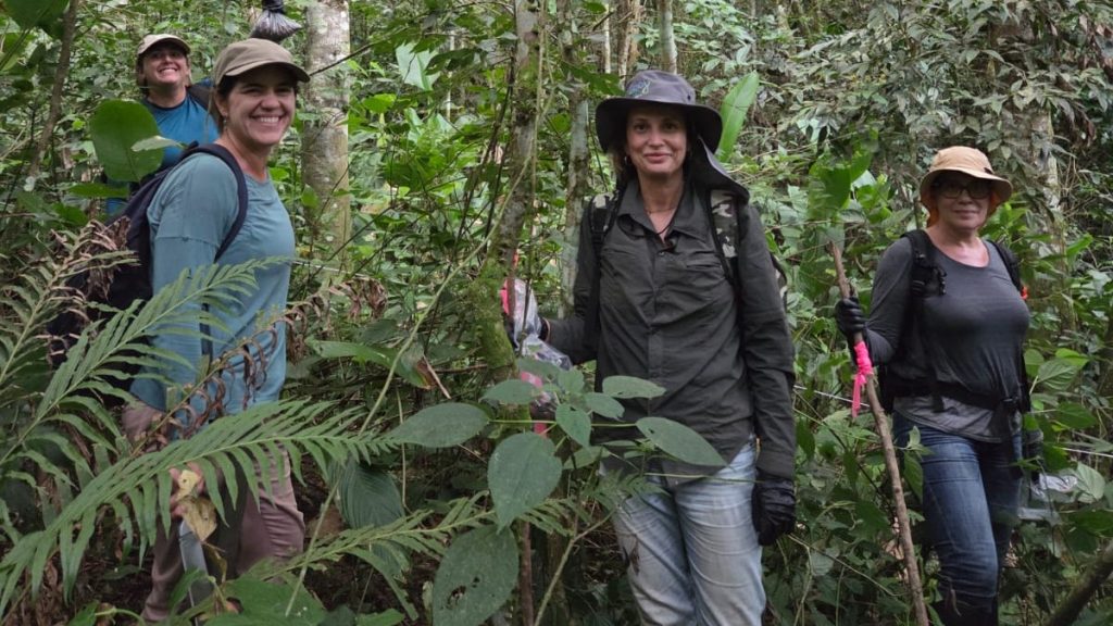 Com 54 amostras de solo, além de teias de aranha, Embrapa testa DNA ambiental para medir a biodiversidade de propriedades da Mata Atlântica em SP