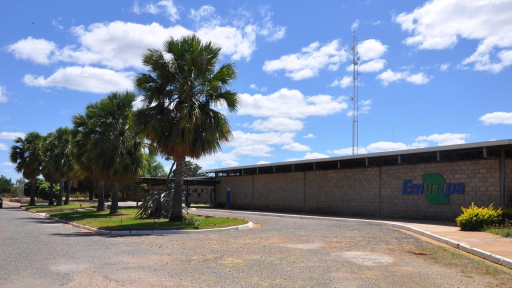 Trabalhador rural que capinava a céu aberto sob 30,6 °C no campo experimental da Embrapa em Petrolina (PE) ganhou no TST as horas extras das pausas térmicas que nunca teve Trabalhador rural que capinava a céu aberto sob 30,6 °C no campo experimental da Embrapa em Petrolina (PE) ganhou no TST as horas extras das pausas térmicas que nunca teve