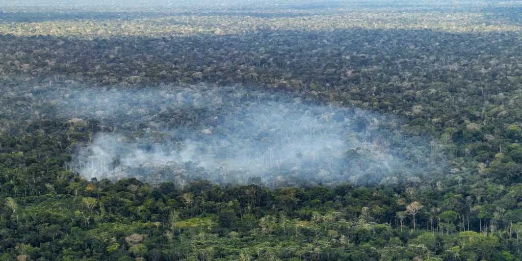 Estudo aponta atividade humana nas emissões de carbono na Amazônia