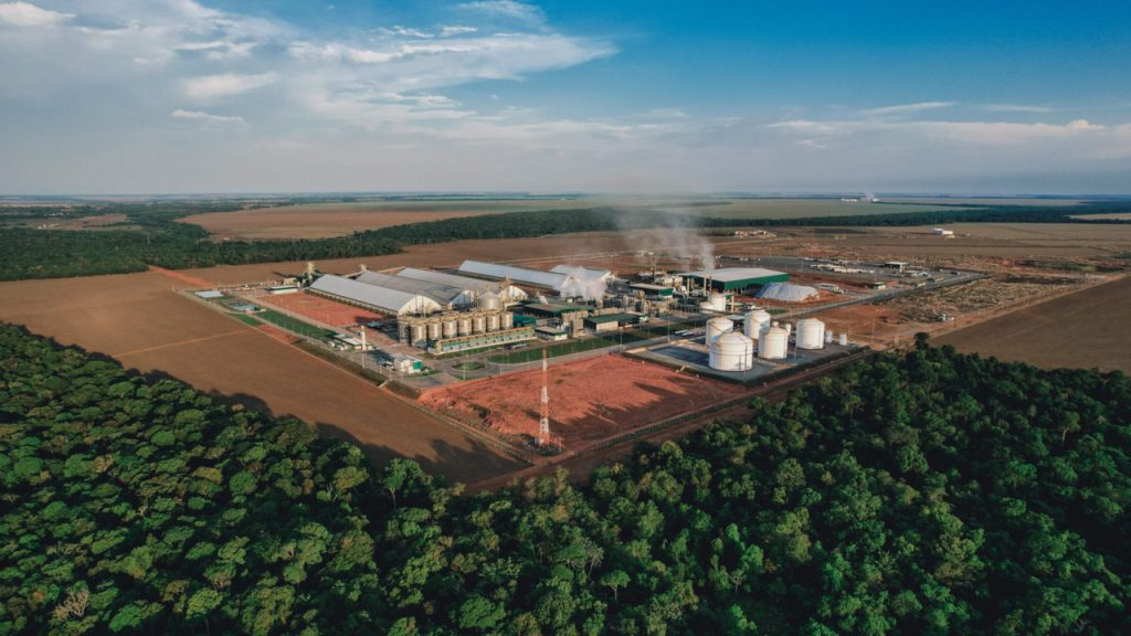 Brasil mira 22 bilhões de litros de etanol de milho, mas especialistas apontam um obstáculo inesperado: além de 51,2 milhões de toneladas de grãos, usinas precisarão garantir biomassa