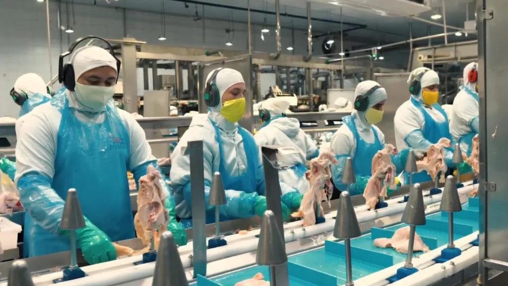 Com investimento de R$ 100 milhões, Guaraves prepara nova fábrica para abater 100 mil aves por dia e gerar até 700 empregos no RN