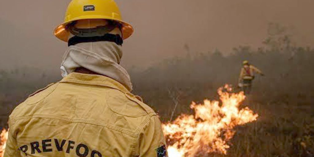 Focos de incêndio no Amazonas diminuem após ação de força-tarefa