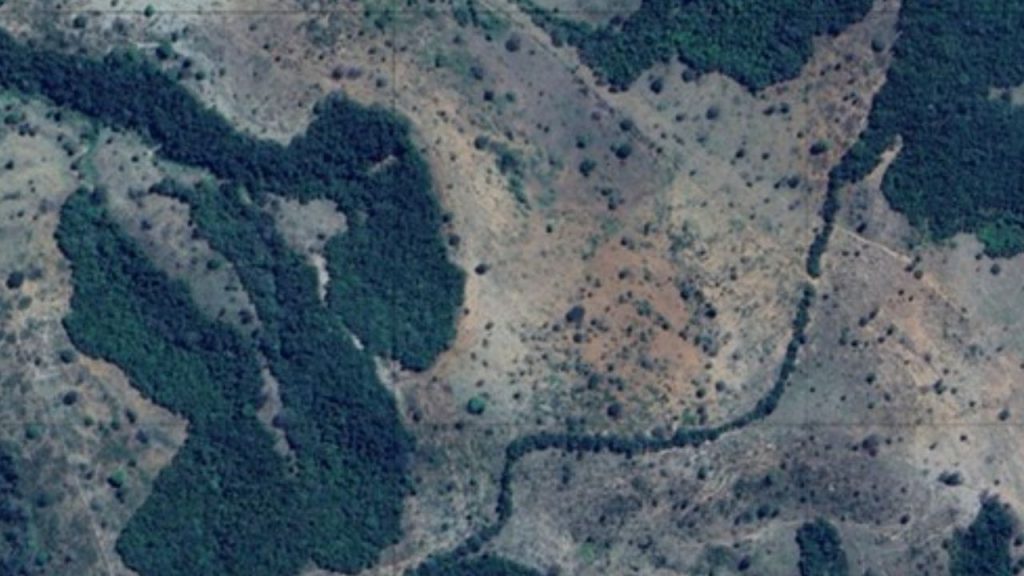 Mineradora canadense amplia descoberta de terras raras em Minas Gerais, mas considera vender o projeto