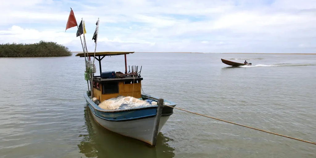 Pesca na foz do Rio Doce volta a ser liberada depois de dez anos Pesca na foz do Rio Doce volta a ser liberada depois de dez anos