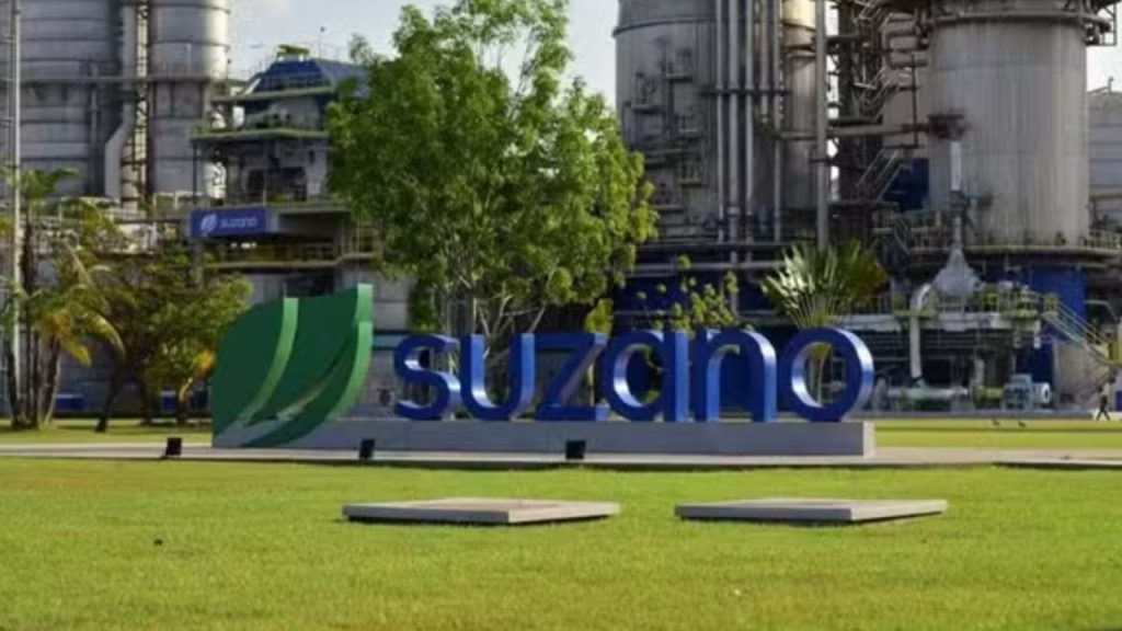 Vagas na Suzano incluem funções florestais, administrativas e oportunidade exclusiva para PcD em MS Vagas na Suzano incluem funções florestais, administrativas e oportunidade exclusiva para PcD em MS