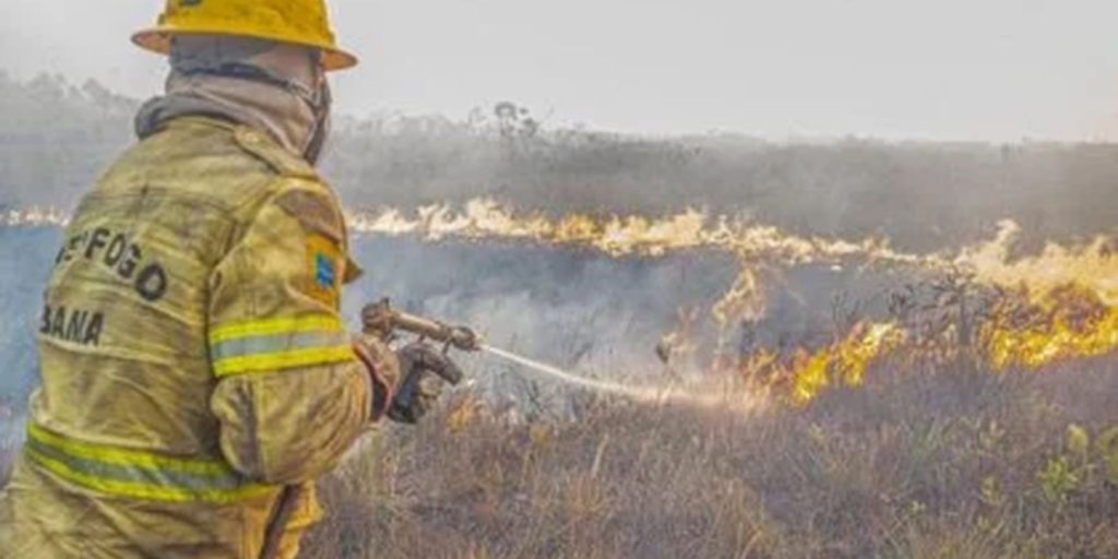 Governo investiga se há organização por trás dos incêndios no Amazonas Governo investiga se há organização por trás dos incêndios no Amazonas