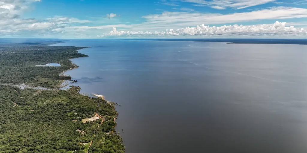 Veja os planos de governo de Flávio e Lula para meio ambiente e clima